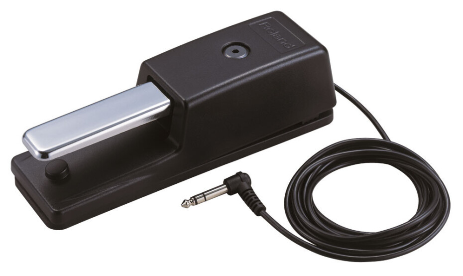 Roland DP-10 - main (0)