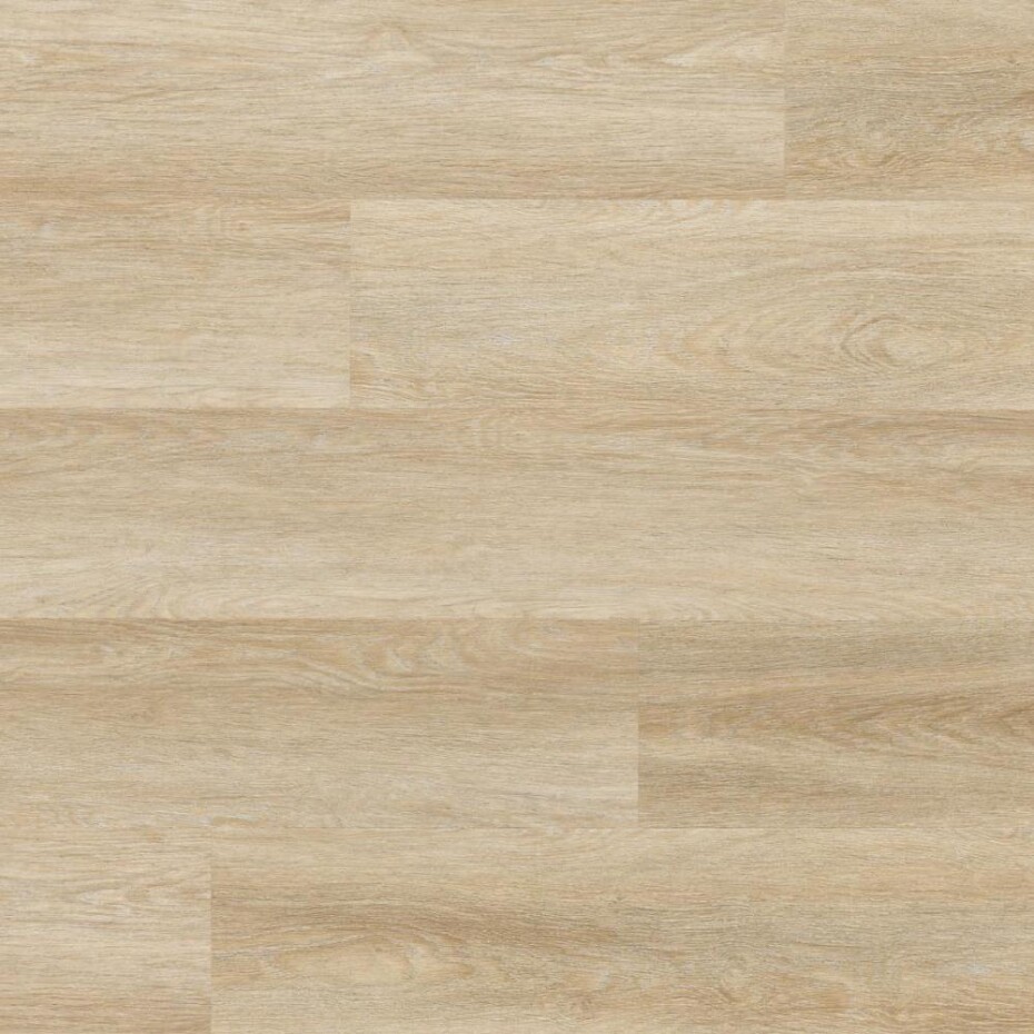 Arbiton Woodric Mineral Dryback Dub Rockford DW 179 - main (0)