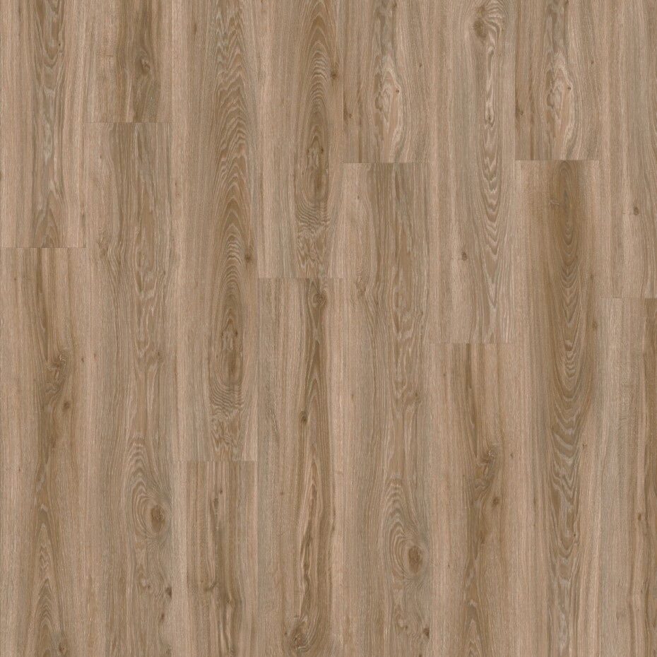 Moduleo Roots 55 Blackjack Oak 22229 - main (0)