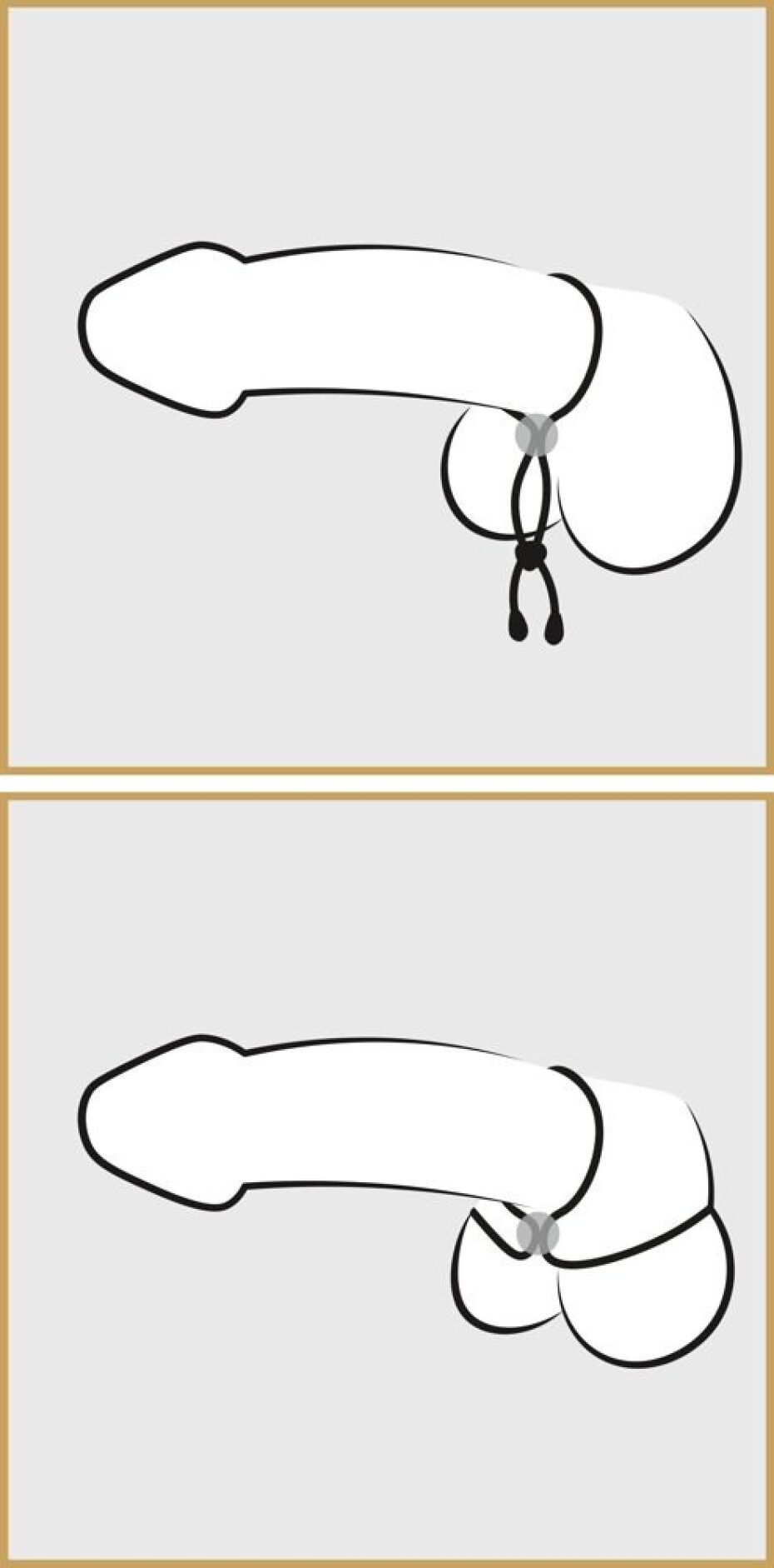 You2Toys Cock a Ball Loop - main (3)