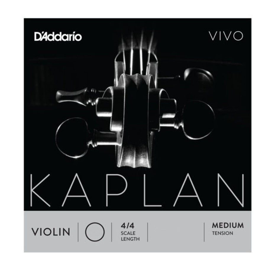 D´Addario Orchestral Kaplan VIVO Violin KV311 4/4M - main (0)