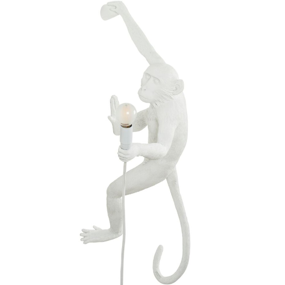 Nástěnné dekorační světlo MONKEY HANGING RIGHT HAND 65 cm, bílá, Seletti - main (0)