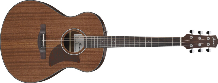 Ibanez AAM54-OPN - Open Pore Natural - main (0)
