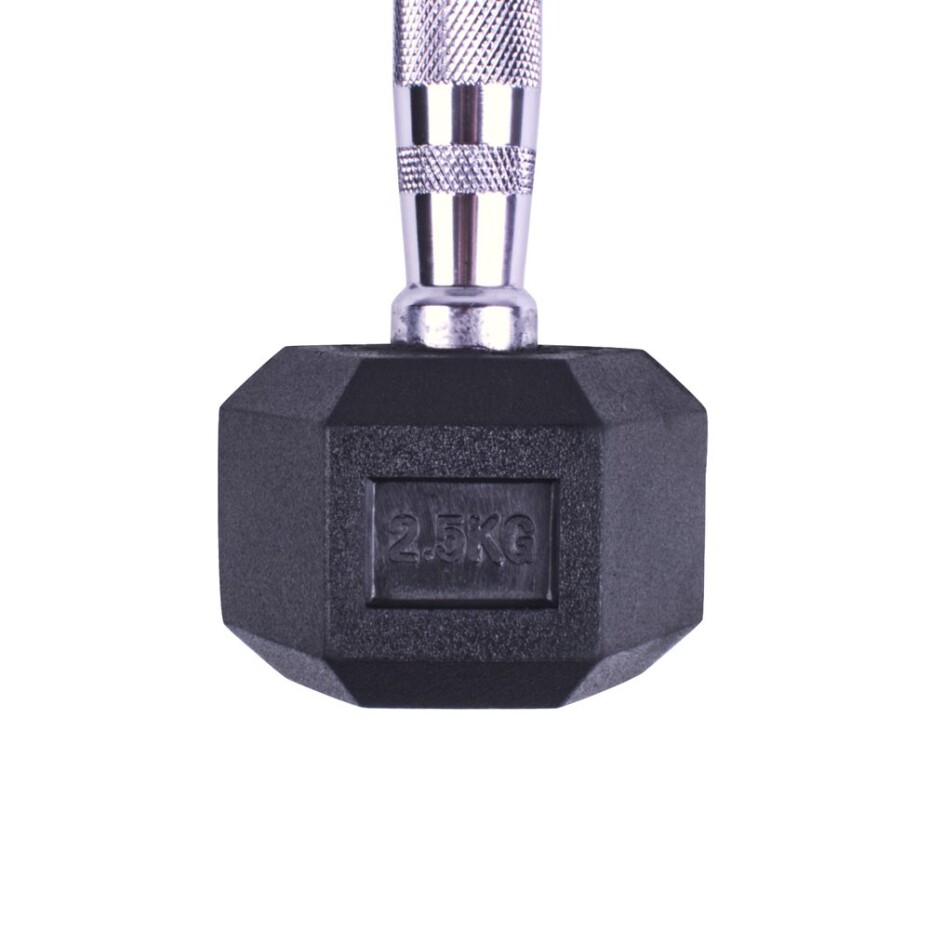Profi šestihranná pogumovaná činka Sportago Hexagon 2,5 kg - main (2)