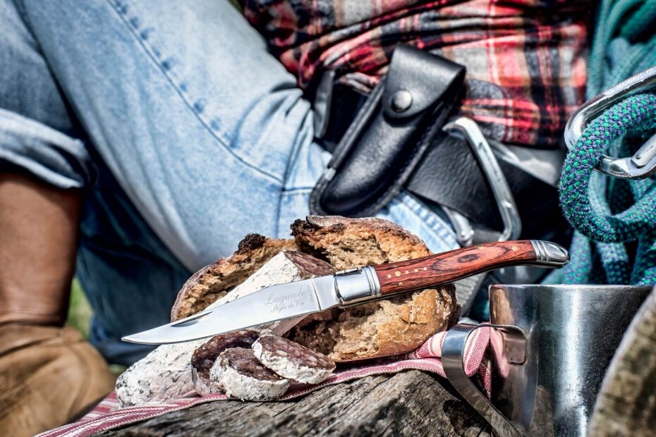 Kapesní nůž LUXURY, s brouskem a pouzdrem, rukojeť palisandr, Laguiole - main (1)