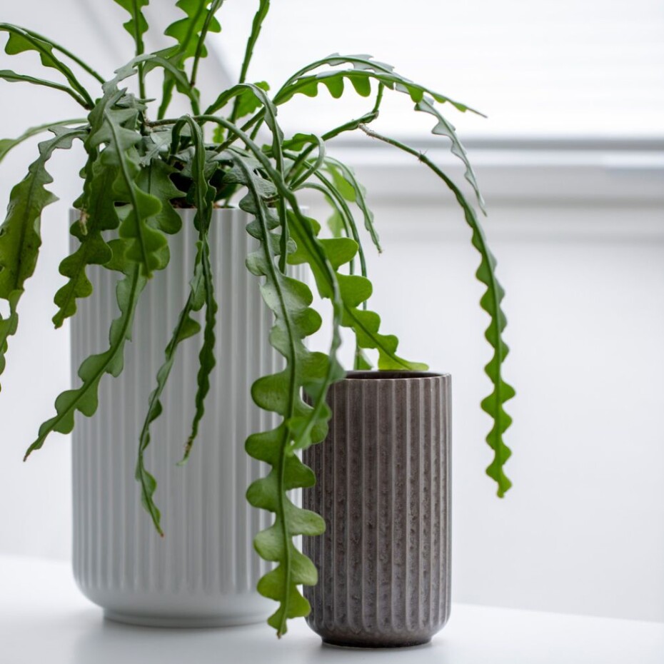 Váza 20 cm, porcelánově bílá, Lyngby - main (17)