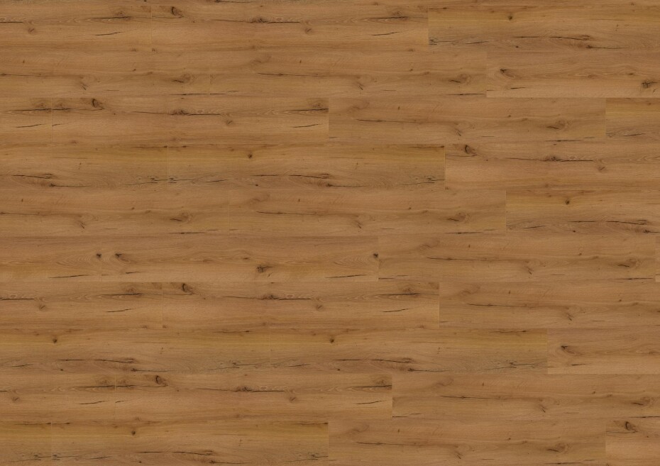 Wineo 1200 wood XL - Say hi to Klara PL272R - main (2)