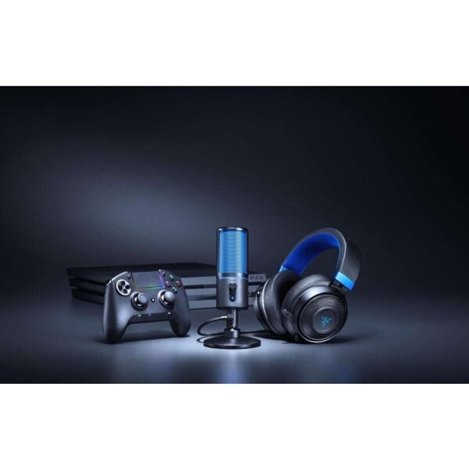 Razer Seiren X PS4 černý - main (2)