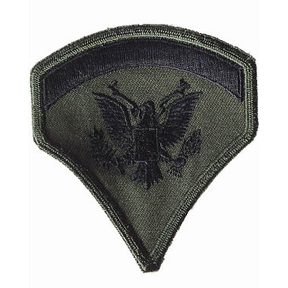 Nášivka: Hodnost US ARMY rukávová Specialist Fifth Class olivová | černá - main (0)
