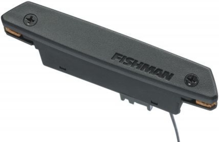 Fishman Rare Earth Single - main (0)