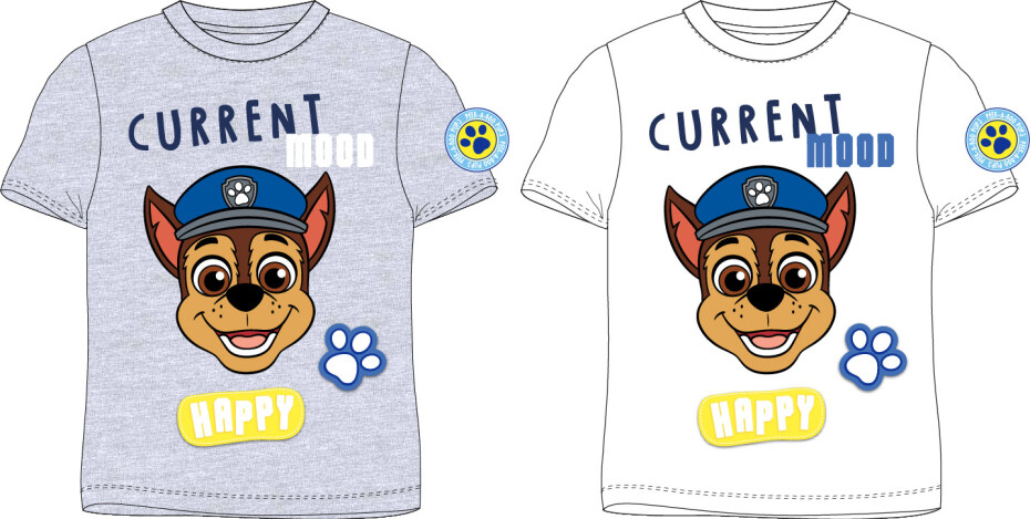 Paw Patrol - Tlapková patrola -Licence Chlapecké tričko - Paw Patrol 52021672, šedý melír Barva: Šedá, Velikost: 110 - main (0)