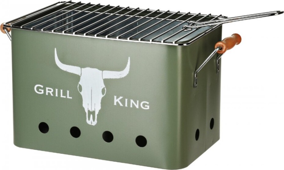 PROGARDEN Přenosný gril na dřevěné uhlí GRILL KING 43 x 20 cm zelená KO-C80901190 - main (0)