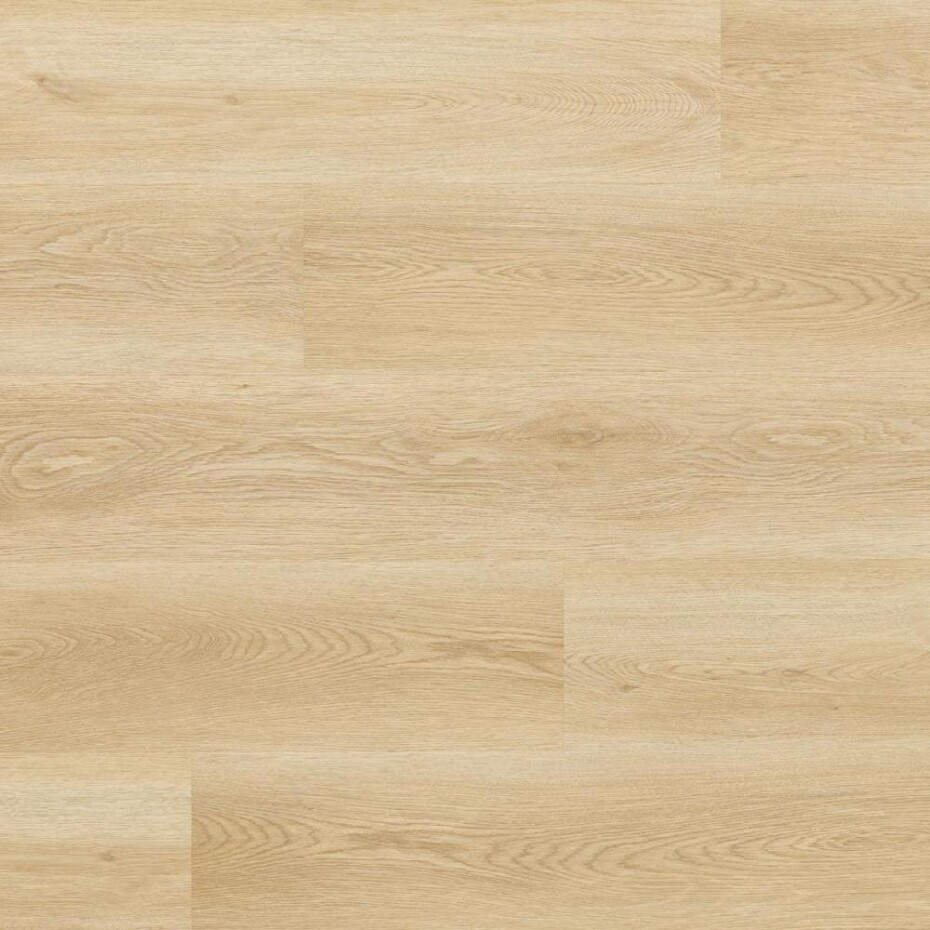 Arbiton Woodric Mineral Dryback Dub Holman DW 182 - main (0)