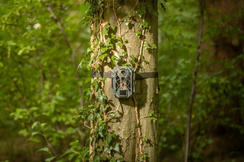 Camouflage Fotopast Camouflage EZ2 Elite Dual Lens 557972 - main (4)