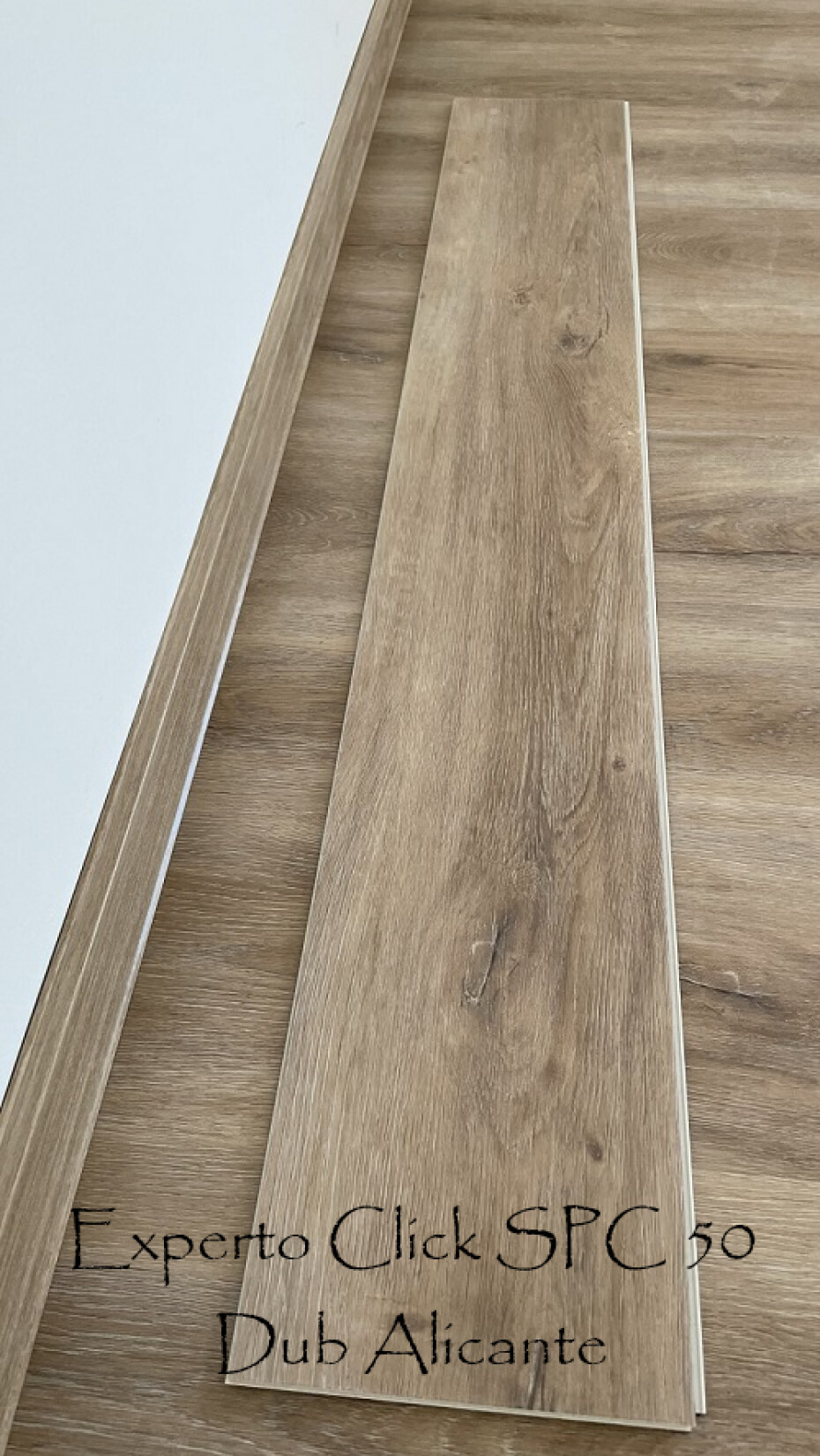 Experto Click 50 SPC Dub Alicante 1026-3 - main (4)