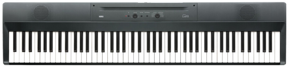 Korg Liano GR - Metallic Gray - main (0)