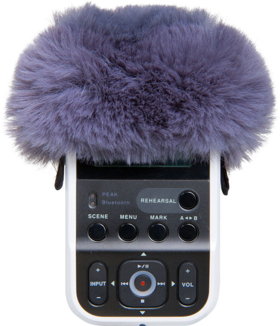 Roland R07-WS - main (0)