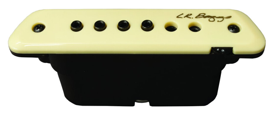 L.R.Baggs M1A - main (0)