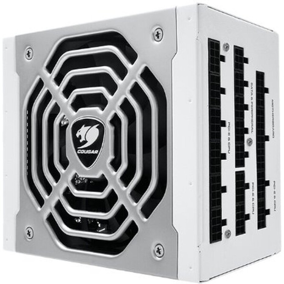 COUGAR POLAR 1050W - main (3)
