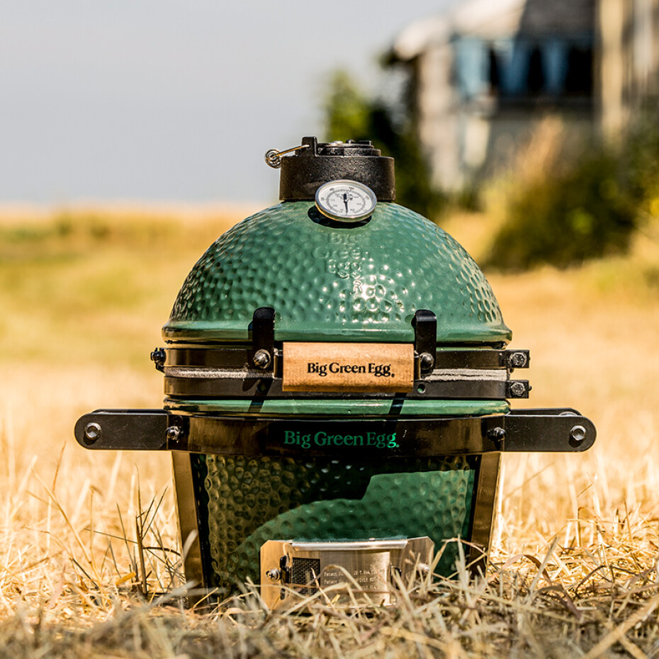 Gril na dřevěné uhlí MINI, zelená, Big Green Egg - main (1)