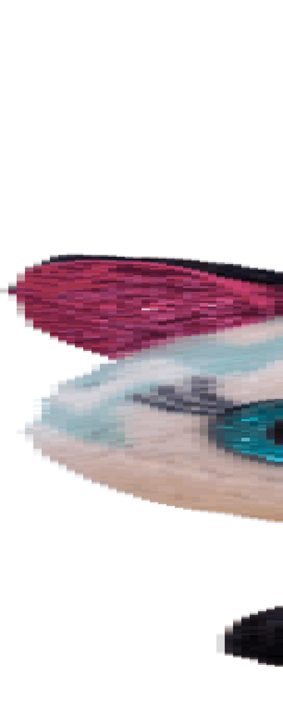 TY BOOS ATLAS, 8,5 cm - aqua chevron fox - Clip (3) - main (0)