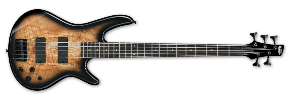 Ibanez GSR205SM Natural Gray Burst - main (0)