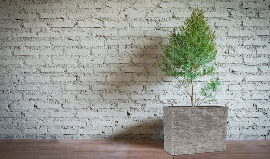 G21 Květináč G21 Natur Box 80 x 56 x 34 G21-6392801 - main (2)