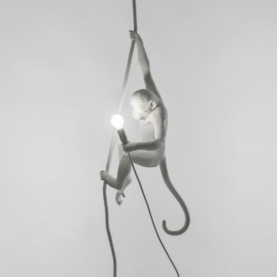 Stropní svítidlo MONKEY WITH ROPE 76,5 cm, bílá, Seletti - main (3)