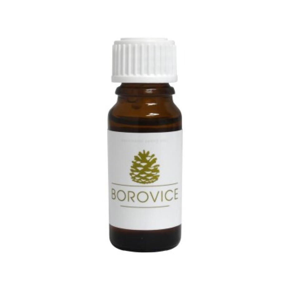 Hanscraft esenciální vonný olej Borovice (10ml) - main (0)
