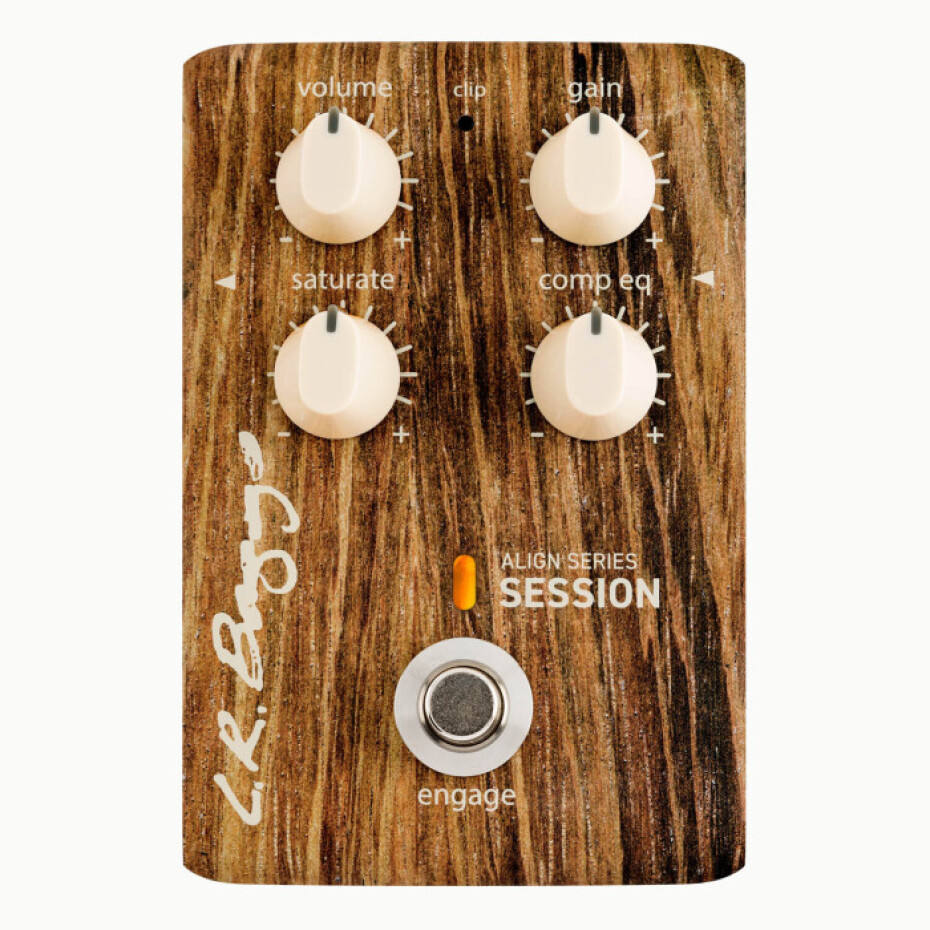L.R.Baggs Session - main (0)