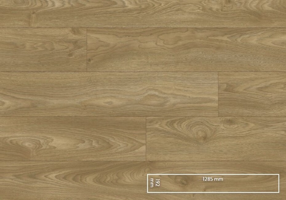 KPP - Euphoria V4 - Atlas Oak 56602 - main (0)
