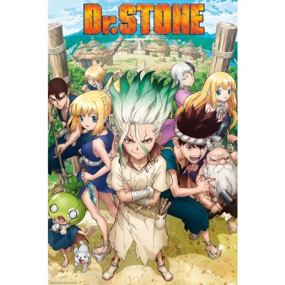 Plakát Dr. Stone - Group (36) - main (0)
