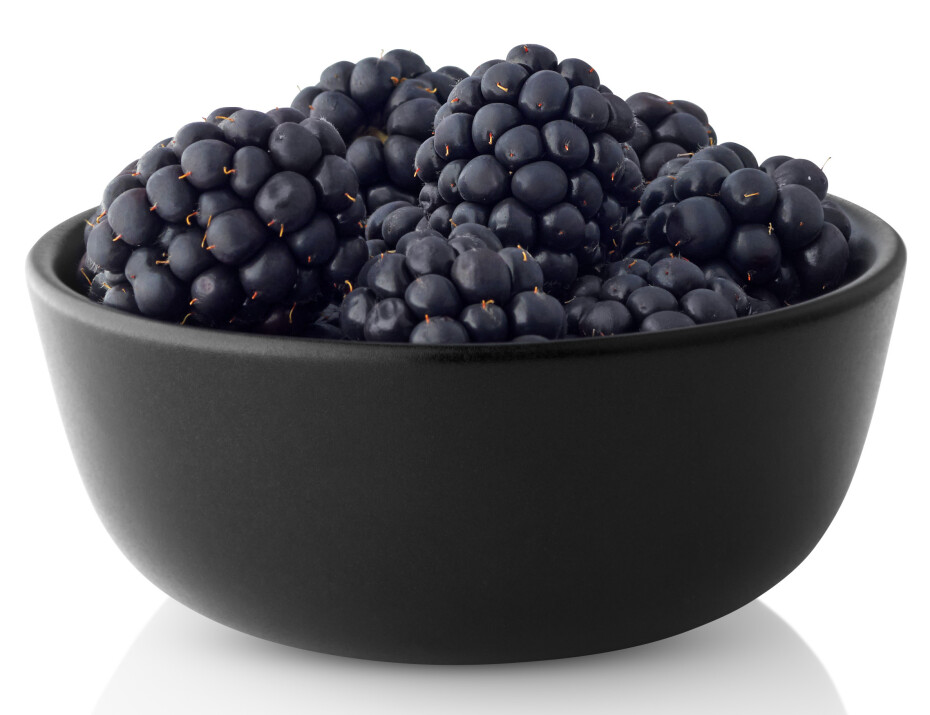 Mísa 0,15 l Ø10 cm Nordic kitchen Eva Solo set 4 kusů - main (5)