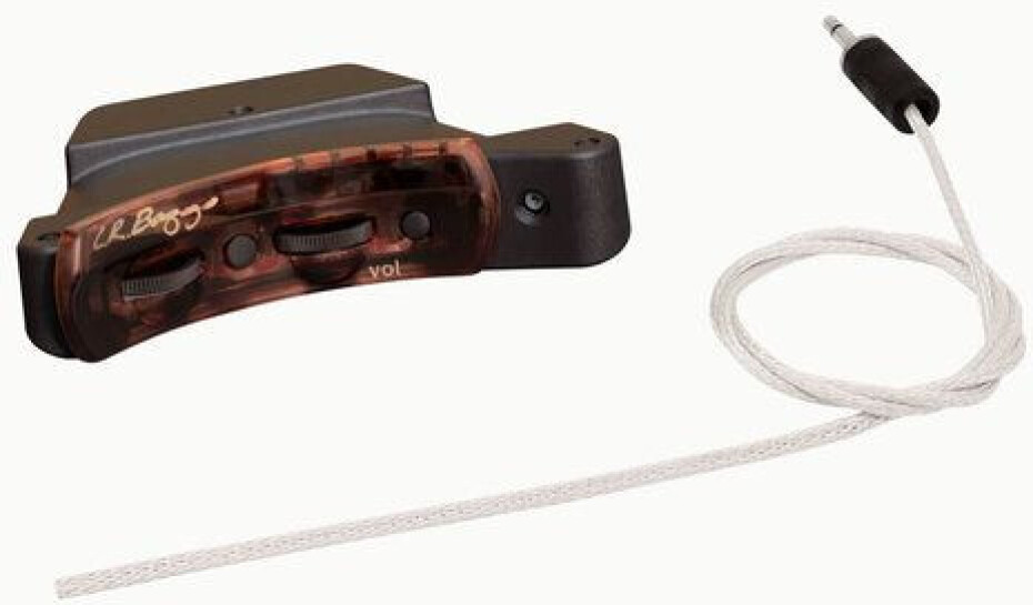 L.R.Baggs EAS VTC - main (0)