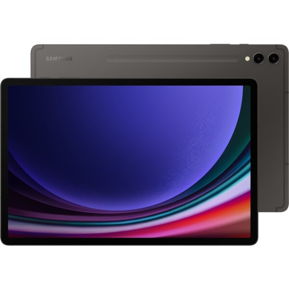Samsung Galaxy Tab S9 Ultra 512GB (14,6" WiFi) šedý - main (0)