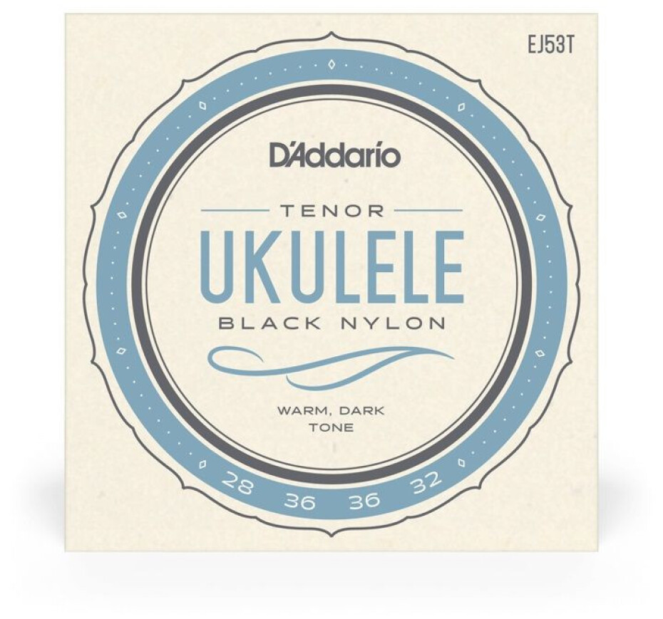 D'Addario EJ53T - main (0)