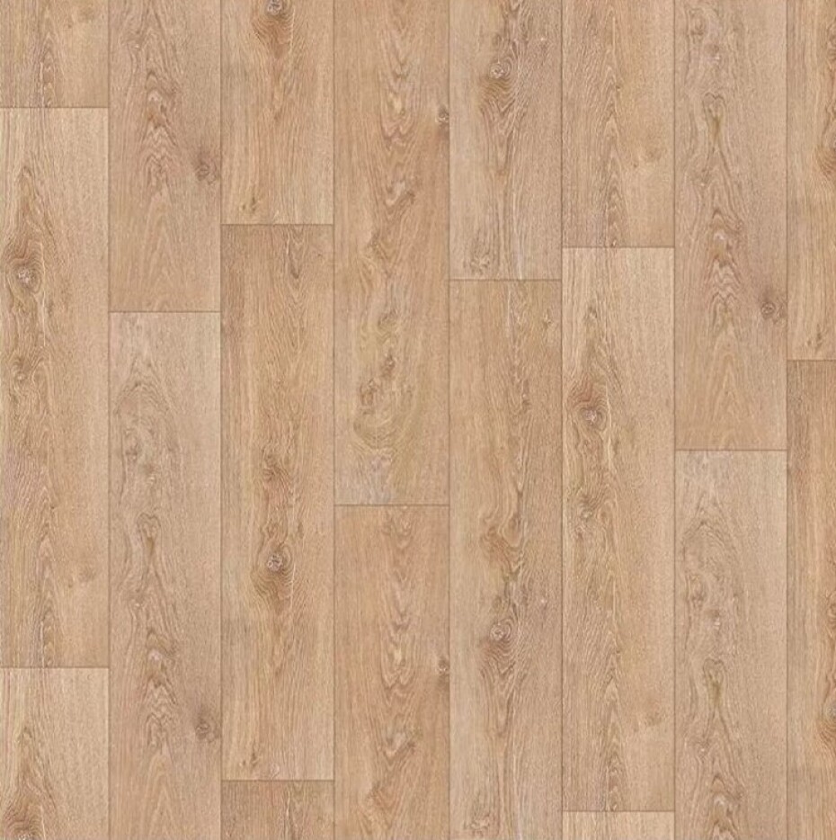 TEX 380 Gent 531 - main (0)