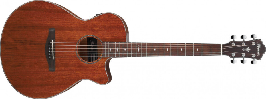Ibanez AEG220-LGS - Natural Low Gloss - main (0)