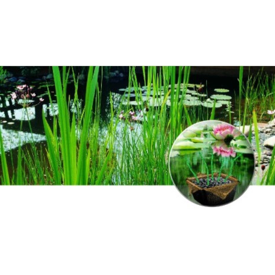 Heissner sázecí koš na lekníny  Ø 40 cm/ v 28 cm - main (1)