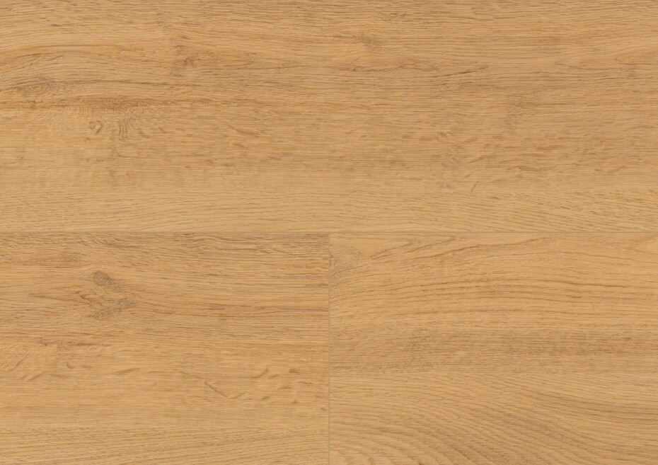 Wineo 1200 wood XL - Let's go Max PL270R - main (3)