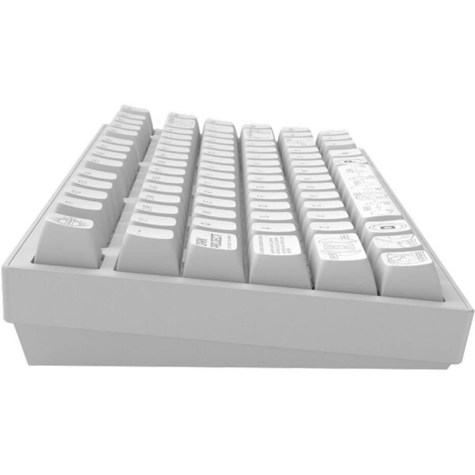 Dark Project ALU81A Terra Nova bezdrátová mechanická klávesnice (ANSI) bílá - main (4)