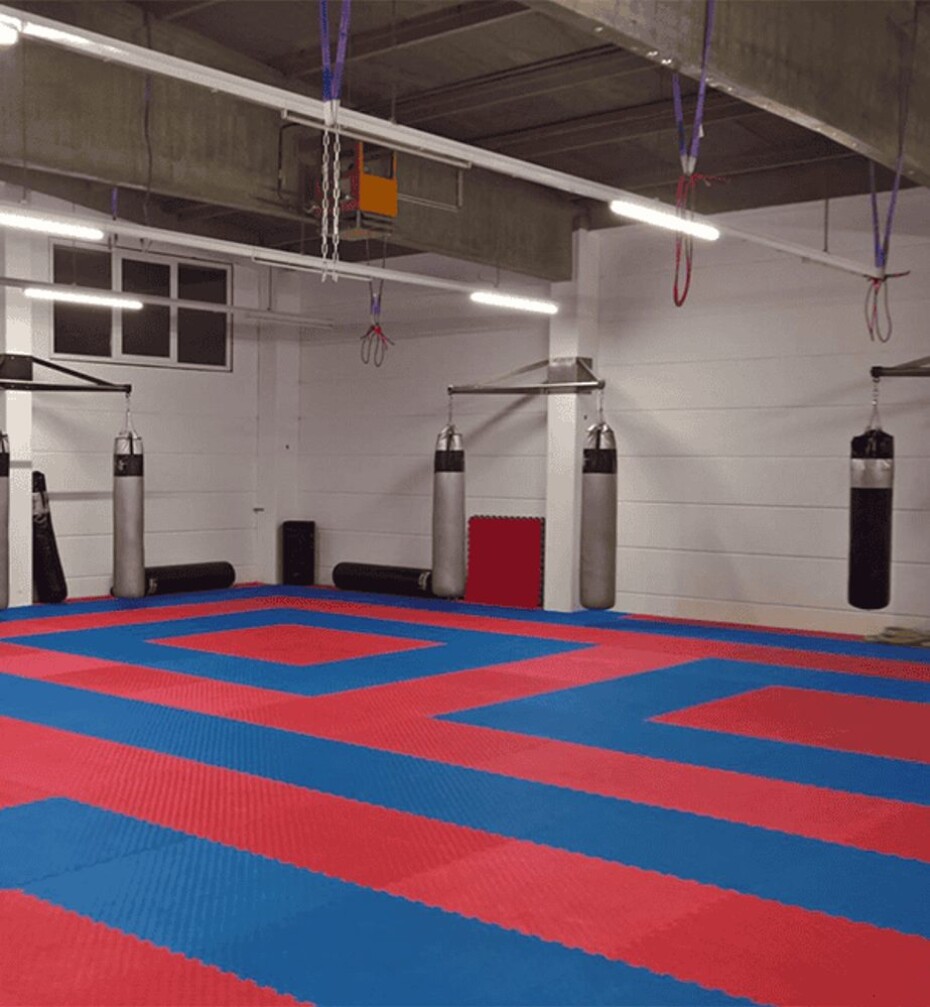 Sportago Tatami Taekwondo podložka 100x100cm červená-modrá - 4 cm - main (2)