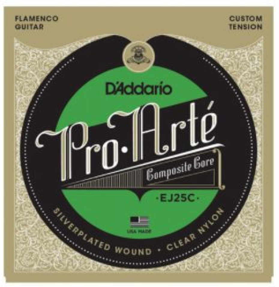 D'Addario EJ25C - main (0)