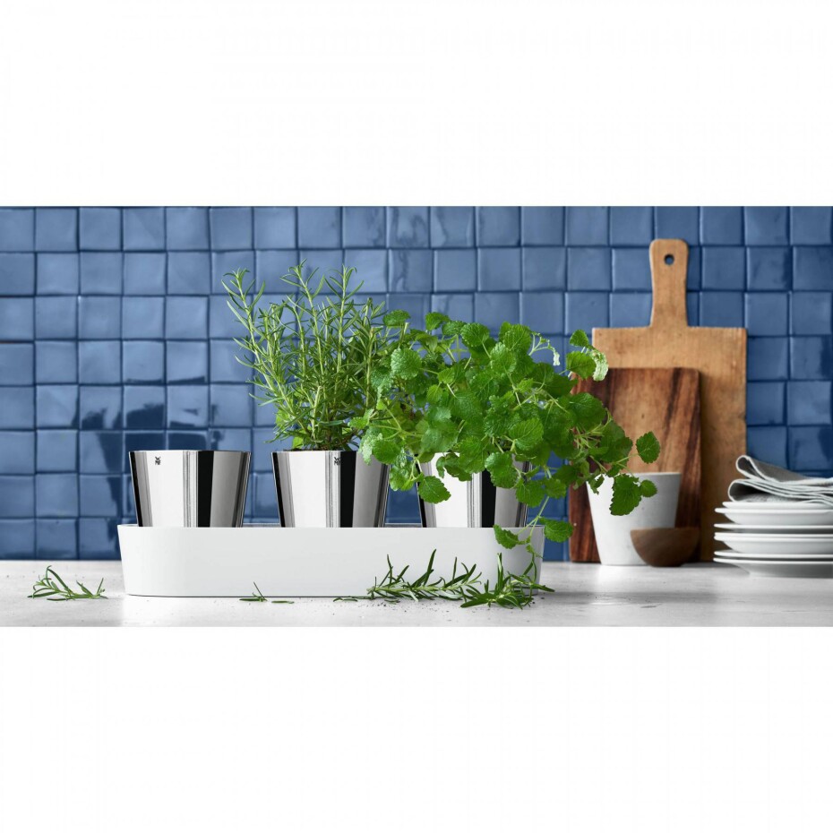 Samozavlažovací květináč GOURMET, sada 3 ks, Bylinková zahrádka, WMF - main (5)