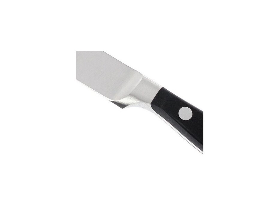 Nůž na ryby CLASSIC 16 cm, pružný, WÜSTHOF - main (4)
