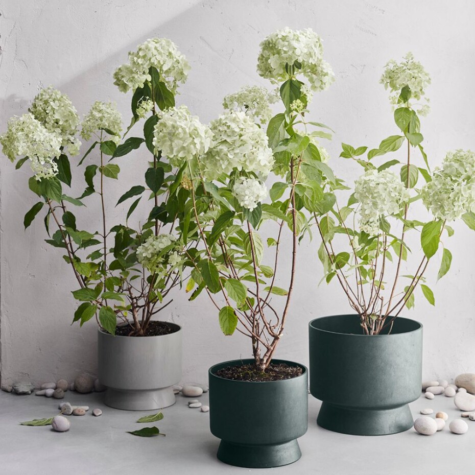 Květináč RECYCLED 15 cm, tmavě zelená, Rosendahl - main (9)