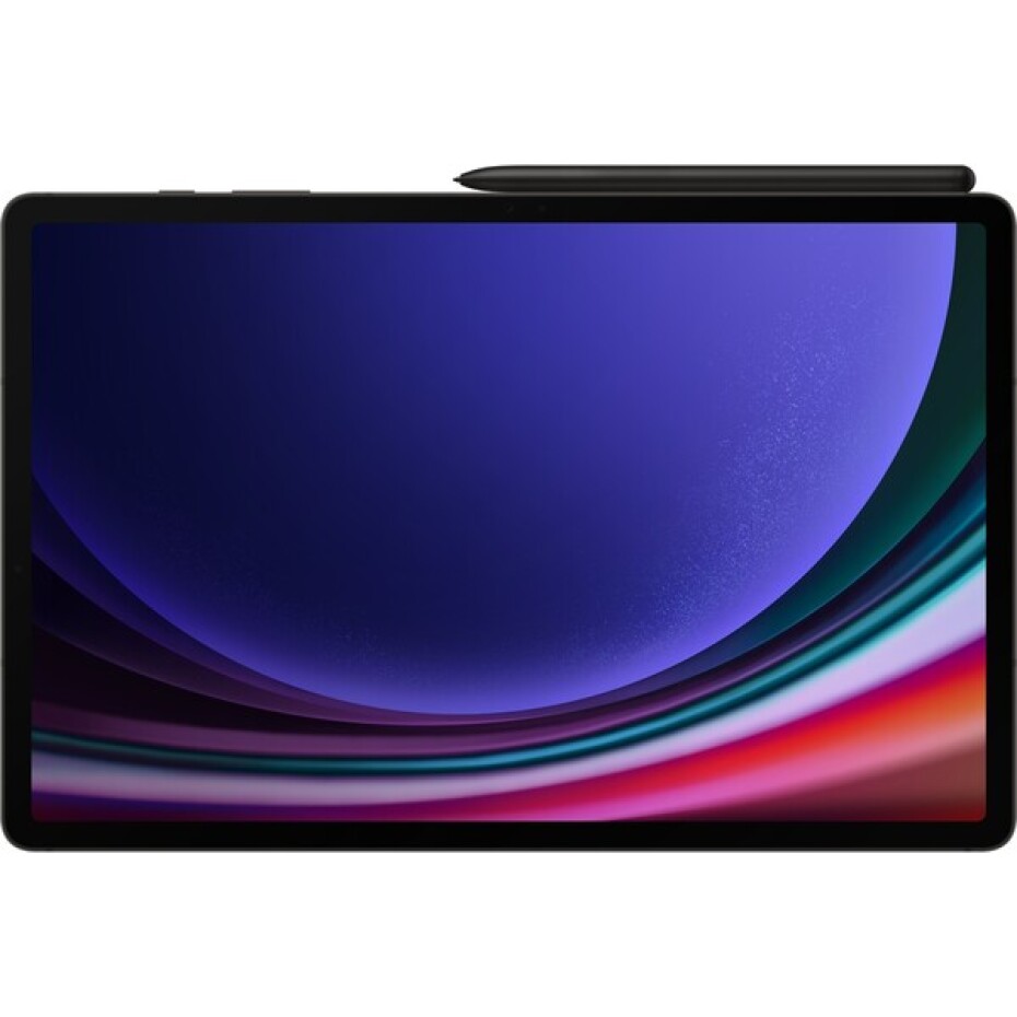 Samsung Galaxy Tab S9 Ultra 512GB (14,6" WiFi) šedý - main (4)