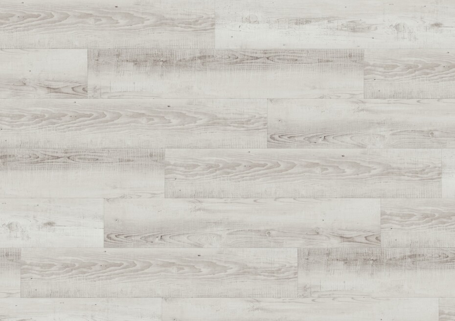 Borovice Moonlight Pale DB00104 - main (1)
