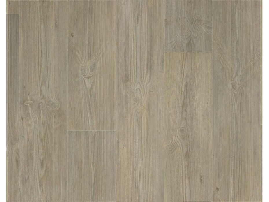 Barn pine 696 D - main (1)