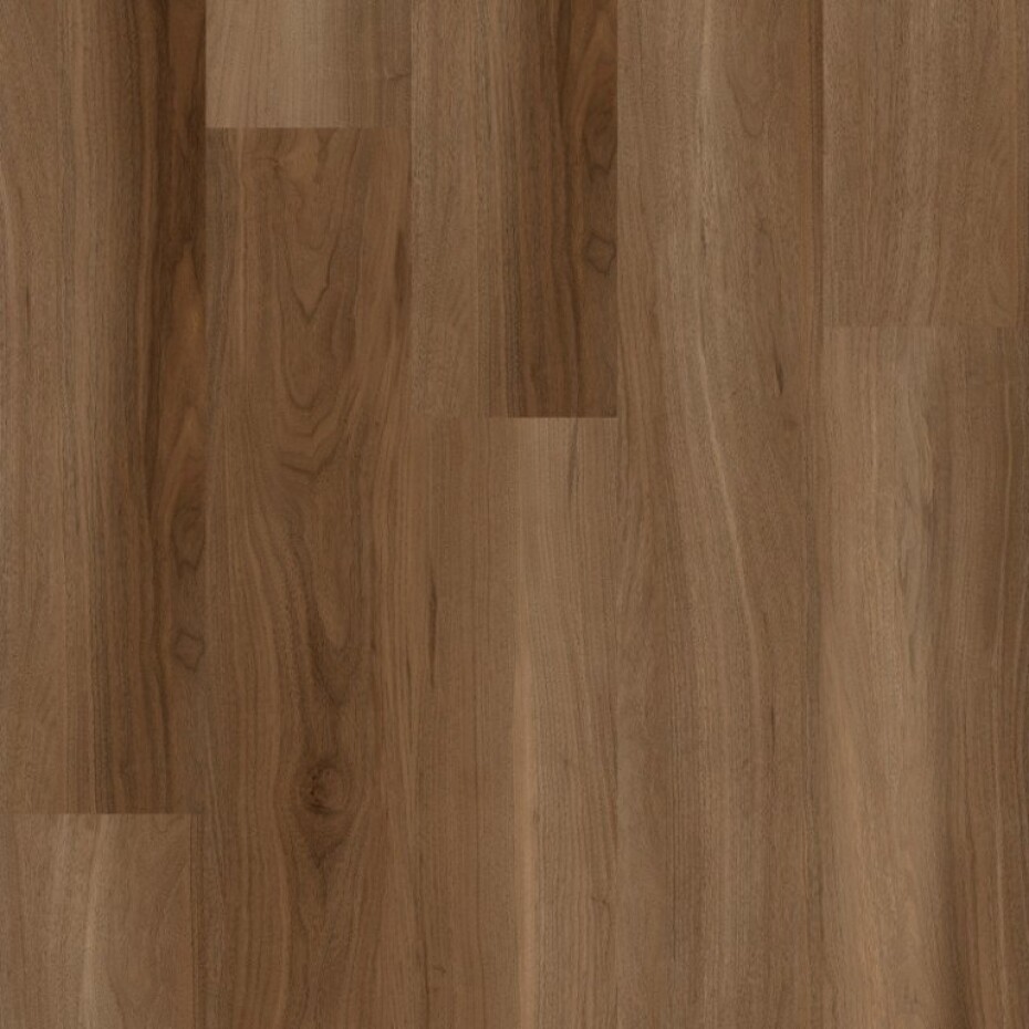 COREtec SurPlus 50RLV3585 Royal Walnut 85 - main (0)